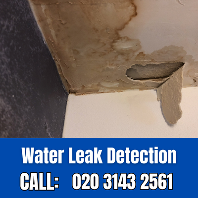 Expert Water Leak Detection Services in Harold Wood | Harold Wood Leak Detection